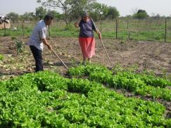 Aclaraciones de trabajadores de Producción sobre la política de desarrollo rural en la provincia