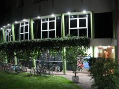 Cine Noviembre: estrenos infantiles y para adultos/as todos los fines de semana