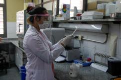 Asignación estímulo: habilitación del proceso para la carga de los beneficiarios