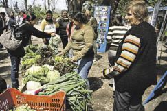 TRABAJADORES DE AGRICULTURA FAMILIAR PIDEN UNA REUNIÓN CON AUTORIDADES NACIONALES